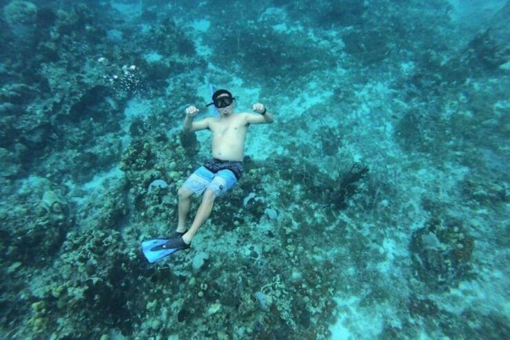 Cancun: Cozumel Snorkeling Experience - Good To Know
