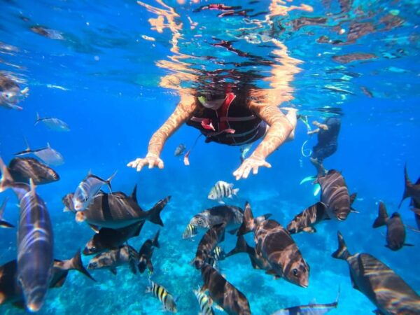 Cancun: Cozumel Snorkeling Experience - Getting to Cozumel