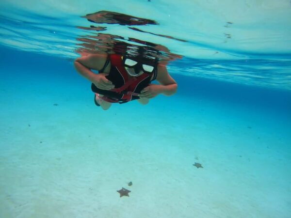 Cancun: Cozumel Snorkeling Experience - What to Expect