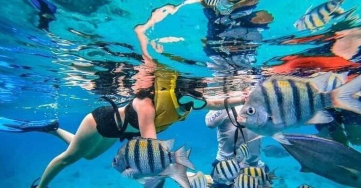 Cancun: Cozumel Snorkeling Experience - Itinerary