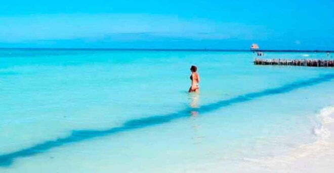 Cancun - Daytrip at Contoy Island - Itinerary Highlights
