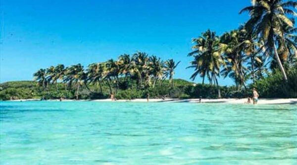 Cancun - Daytrip at Contoy Island - Snorkeling at Ixlache Reef