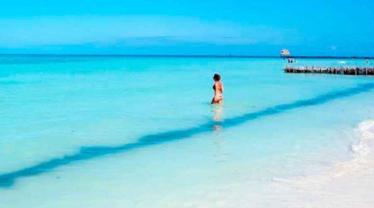 Cancun - Daytrip at Contoy Island - Booking Information