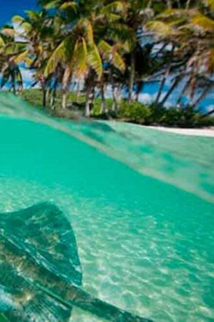 Cancun - Daytrip at Contoy Island - Meals and Refreshments