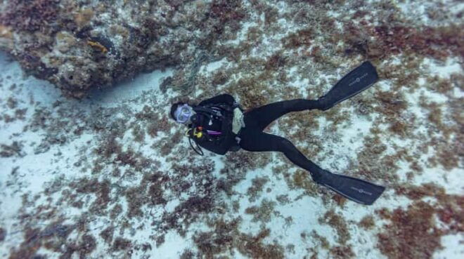 Cancun: Deep Reefs Exploration For Certified Divers - Whats Included