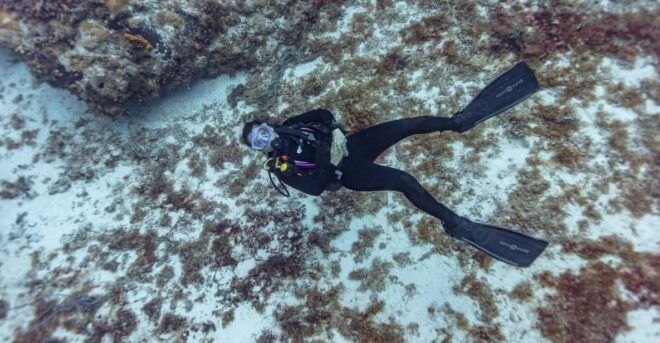 Cancun: Deep Reefs Exploration For Certified Divers - Safety Precautions