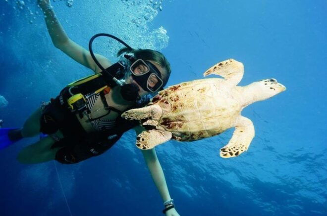 Cancun Discover Scuba Diver Dsd) - Meeting Point and Directions