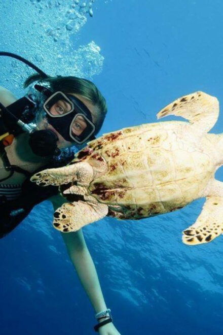 Cancun Discover Scuba Diver Dsd) - Instructor and Language Options