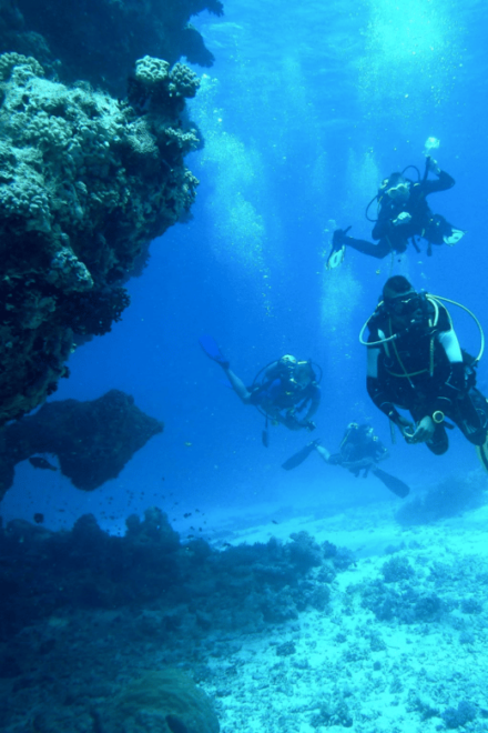 Cancun: Discover Scuba Diving PADI - Highlights of the Tour
