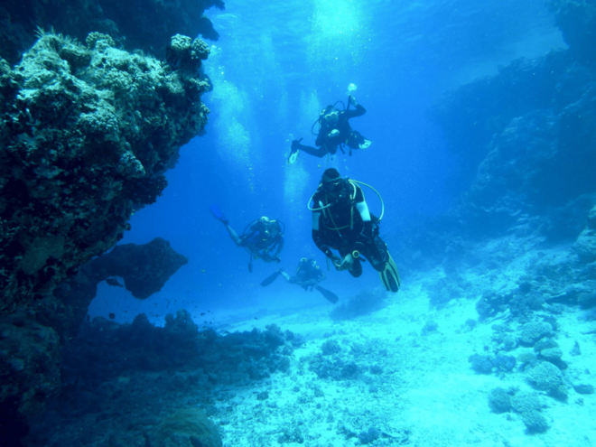Cancun: Discover Scuba Diving PADI - Booking and Availability