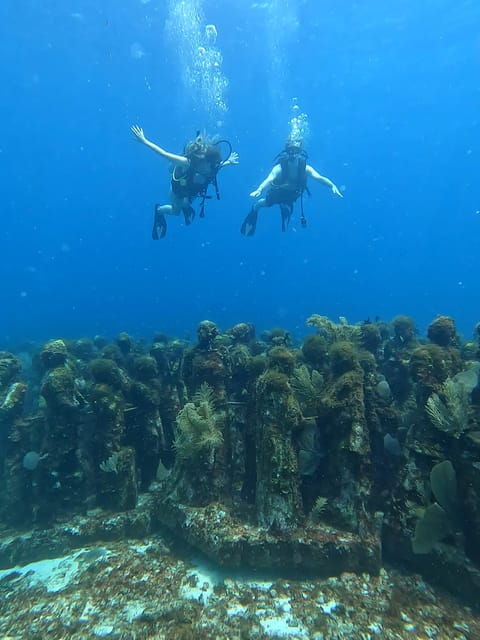 Cancun: Dive in the Underwater Museum of Art and Arrecife - Health and Safety Restrictions