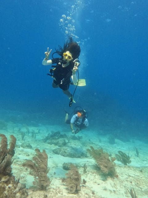 Cancun: Dive in the Underwater Museum of Art and Arrecife - Instructor and Customer Reviews