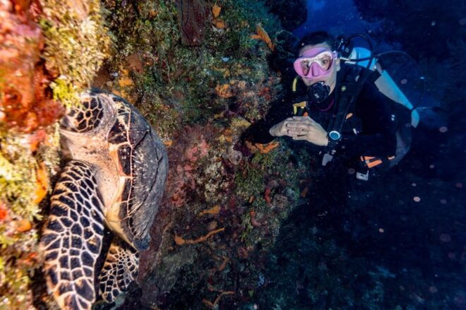 Cancun: Diving the Sunken Ship (Certified Divers) - Exciting Underwater Exploration