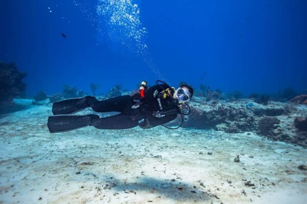 Cancun: Diving the Underwater Art Museum With 2-Tank Dive - Frequently Asked Questions