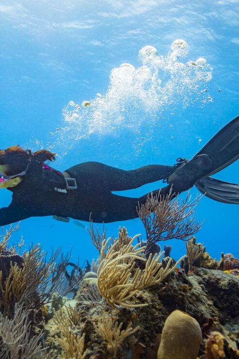 Cancun: Diving the Underwater Art Museum With 2-Tank Dive - Good To Know