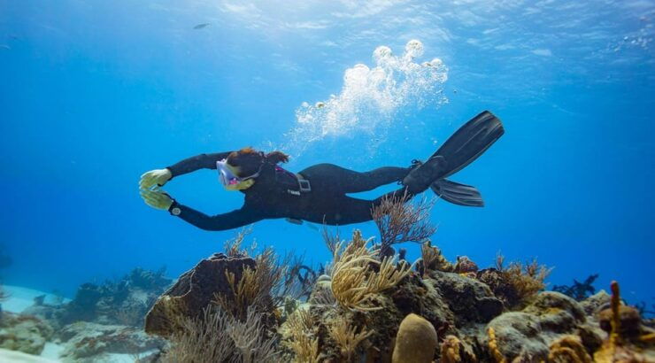 Cancun: Diving the Underwater Art Museum With 2-Tank Dive - Pricing and Reservations