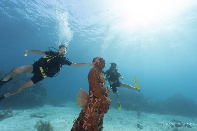 Cancun: Diving the Underwater Art Museum With 2-Tank Dive - Preparing for the Dive