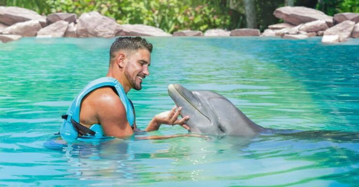 CANCUN: Dolphin Beyond Experience + Water Park and Buffet - Engaging Dolphin Interaction Activities