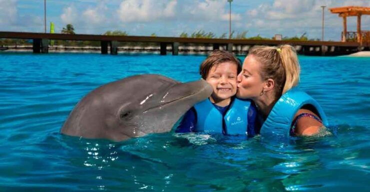 Cancún - Dolphin Cat & Swim Adventure - Booking Information