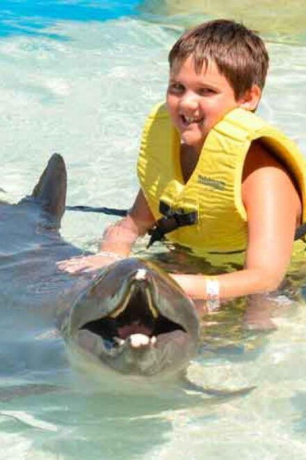 Cancún - Dolphin Cat & Swim Adventure - Sail Aboard Luxurious Catamarans