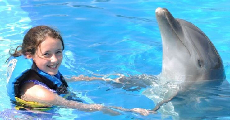 Cancún: Dolphin Encounter on Isla Mujeres With Buffet - Experience Details