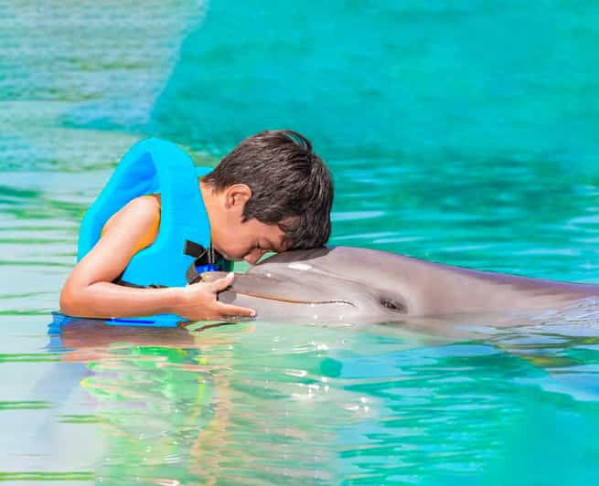 Cancun: Dolphin Golden Experience + Water Park and Buffet - Highlights and Activities