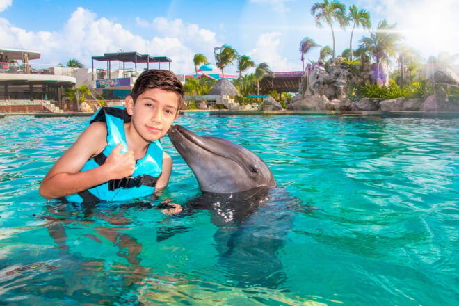 Cancun: Dolphin Golden Experience + Water Park and Buffet - What to Bring