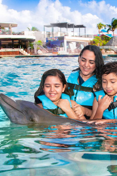 Cancun: Dolphin Golden Experience + Water Park and Buffet - Customer Feedback and Concerns