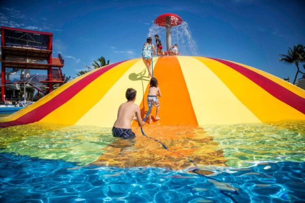 Cancun: Dolphin Golden Experience + Water Park and Buffet - Pricing and Cancelation Policy
