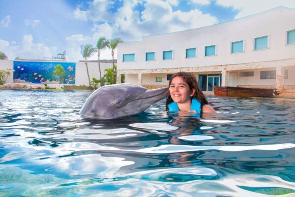 Cancun: Dolphin Golden Experience + Water Park and Buffet - Frequently Asked Questions
