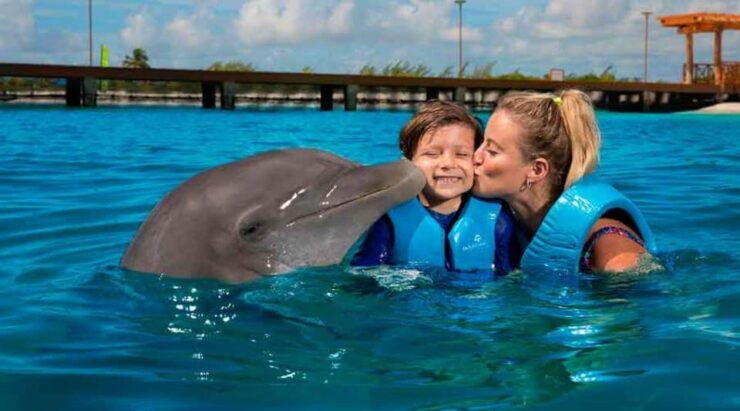 Cancún: Dolphin Swim Adventure - Good To Know