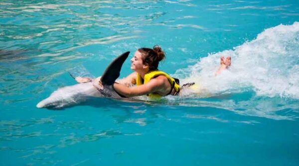 Cancún: Dolphin Swim Adventure - Maritime Tax