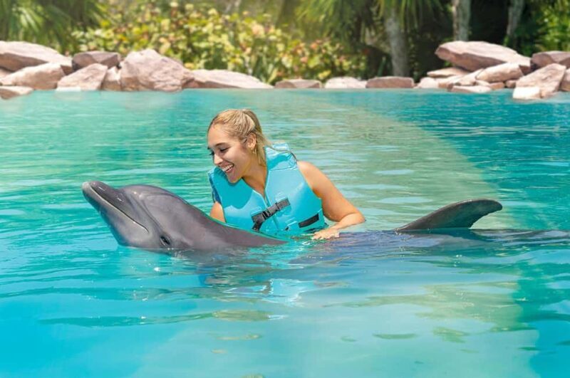 CANCUN: Dolphin Swim Adventure with buffet and soft drinks - Good To Know