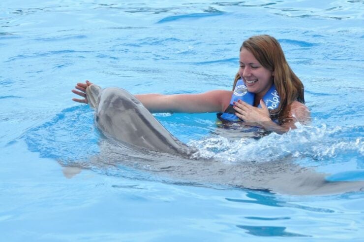 Cancún: Dolphin Swimming Program on Isla Mujeres With Buffet - Experience Highlights