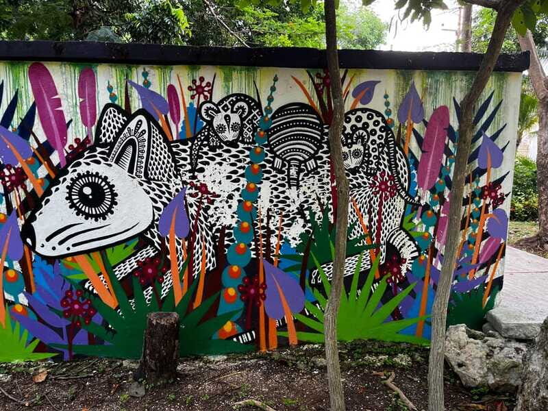 Cancun Downtown Evening Walking Tour - FAQs