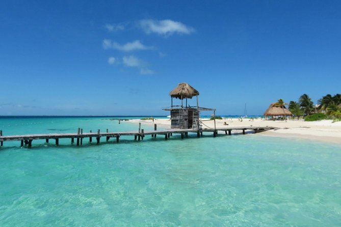 Cancun Downtown Tour With Tequila Tasting and Shopping Time - Pricing and Booking Information