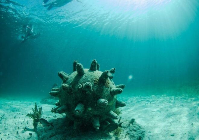 Cancun: Drive an Speedboat and Snorkel in Coral Reef - Itinerary Details