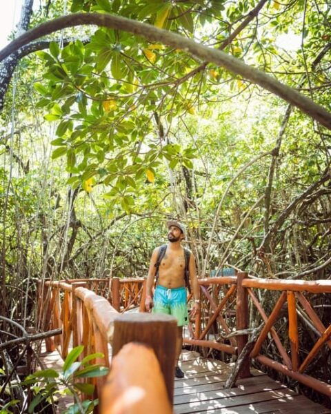 Cancun: Eco Adventure at Cenotes Casa Tortuga & Tulum Ruins - Cenote Swimming at Casa Tortuga