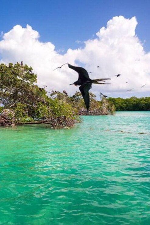 Cancun: Explore Great Sian Kaan Island - Itinerary and Transportation