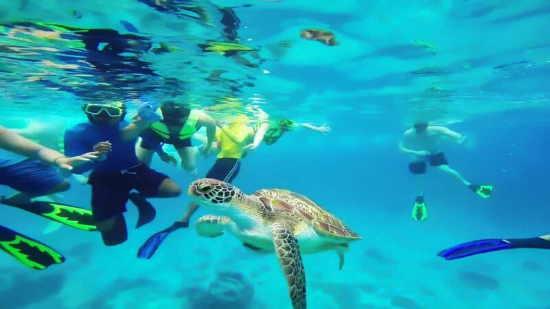 Cancun: Explore Tulum, swim with turtles, cenote, and snorkel in caves - The Value of the Tour