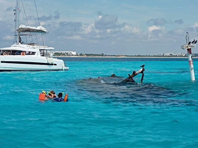 Cancun: Family Snorkeling Tour. Swim Among Tropical Fishes - Transferring to the Marina
