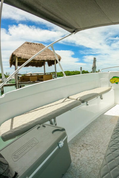Cancun: Family Snorkeling Tour. Swim Among Tropical Fishes - Cancellation and Refund Policy