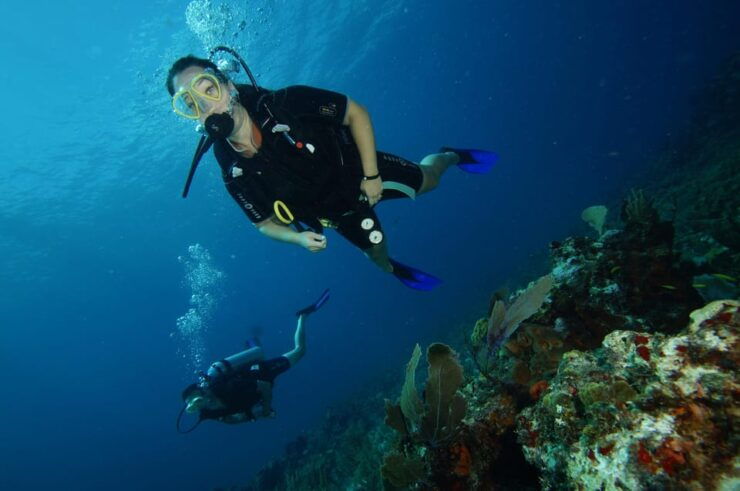 CANCUN: FIRST TIME DIVERS CANCUN - Good To Know