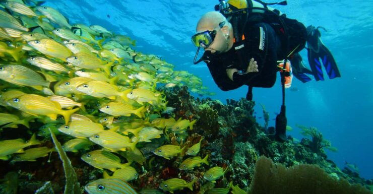 CANCUN: FIRST TIME DIVERS CANCUN - Diving Experience Overview