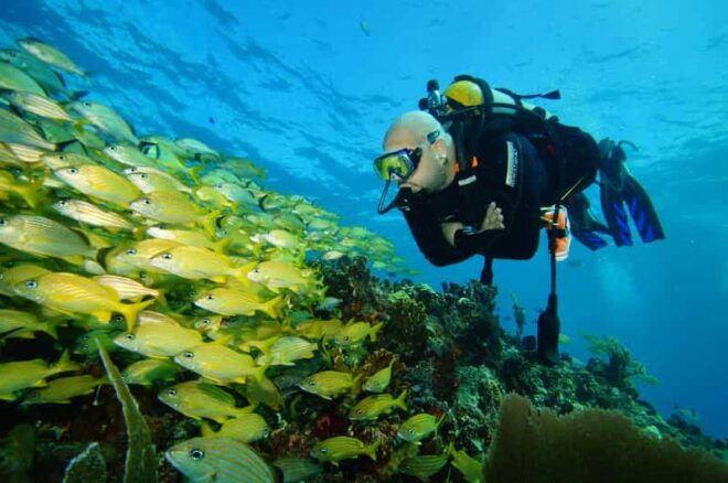 CANCUN: FIRST TIME DIVERS CANCUN - Pool and Ocean Dives