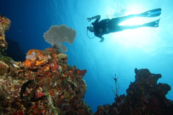 CANCUN: FIRST TIME DIVERS CANCUN - Safety and Guidance