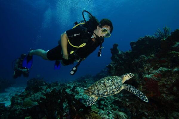 CANCUN: FIRST TIME DIVERS CANCUN - What to Bring and Restrictions