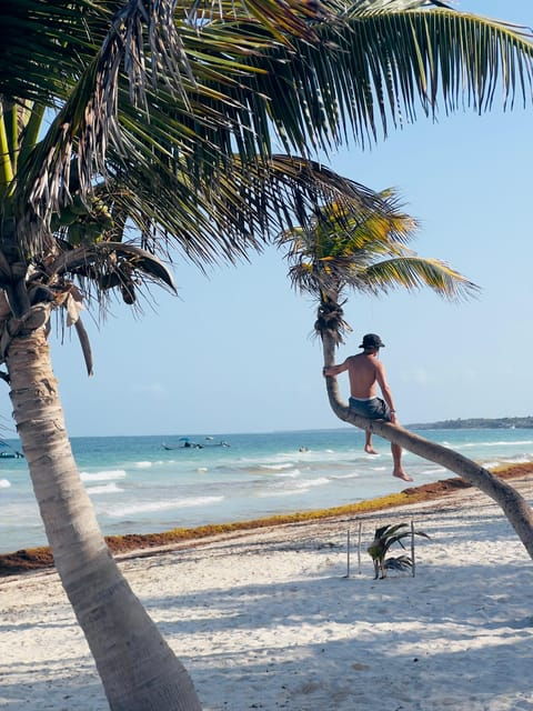 Cancun: Full or Half-Day Private Driver With Hotel Transfers - Personalization and Tailored Experiences