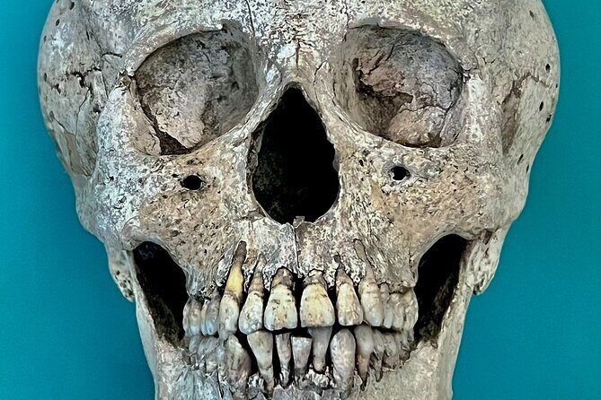 Cancun gems: Mayan Museum, Beach watching, Local Market, & Lunch - Transportation and Group Size