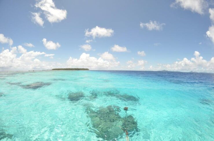 Cancun: Glass-Bottom Boat Tour - Good To Know